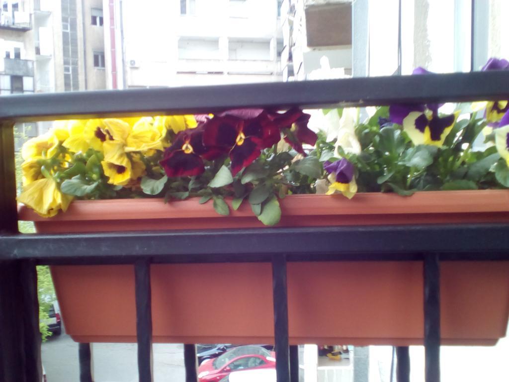 Apartment Nenov Скопие Екстериор снимка